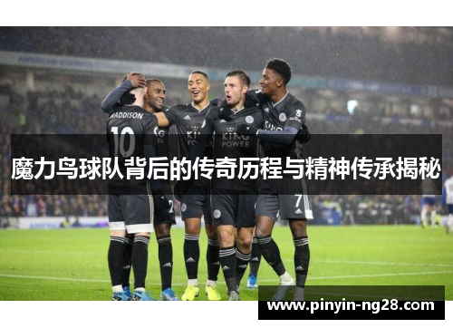 魔力鸟球队背后的传奇历程与精神传承揭秘