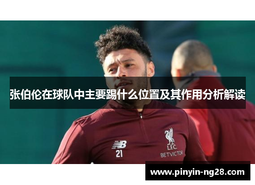 张伯伦在球队中主要踢什么位置及其作用分析解读 张伯伦在球队中主要踢什么位置及其作用分析解读