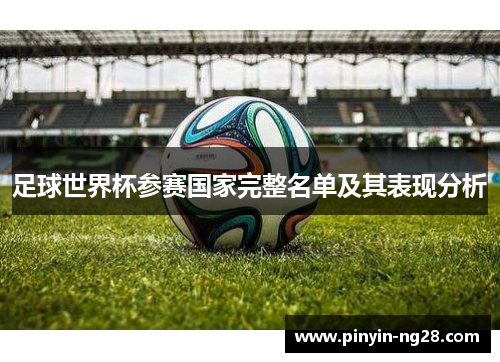 足球世界杯参赛国家完整名单及其表现分析