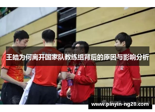 王皓为何离开国家队教练组背后的原因与影响分析