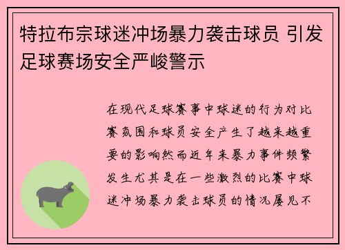 特拉布宗球迷冲场暴力袭击球员 引发足球赛场安全严峻警示